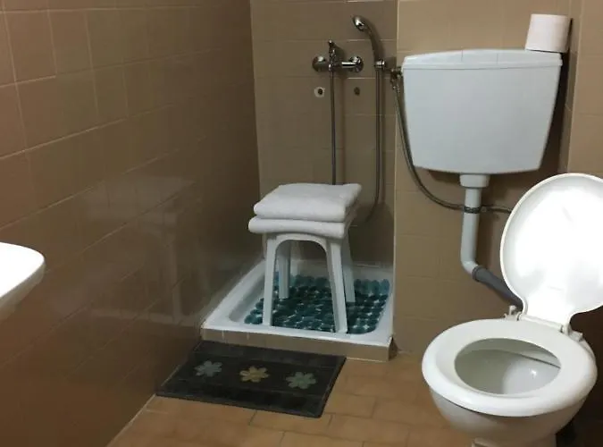 Artemis נאפפליו